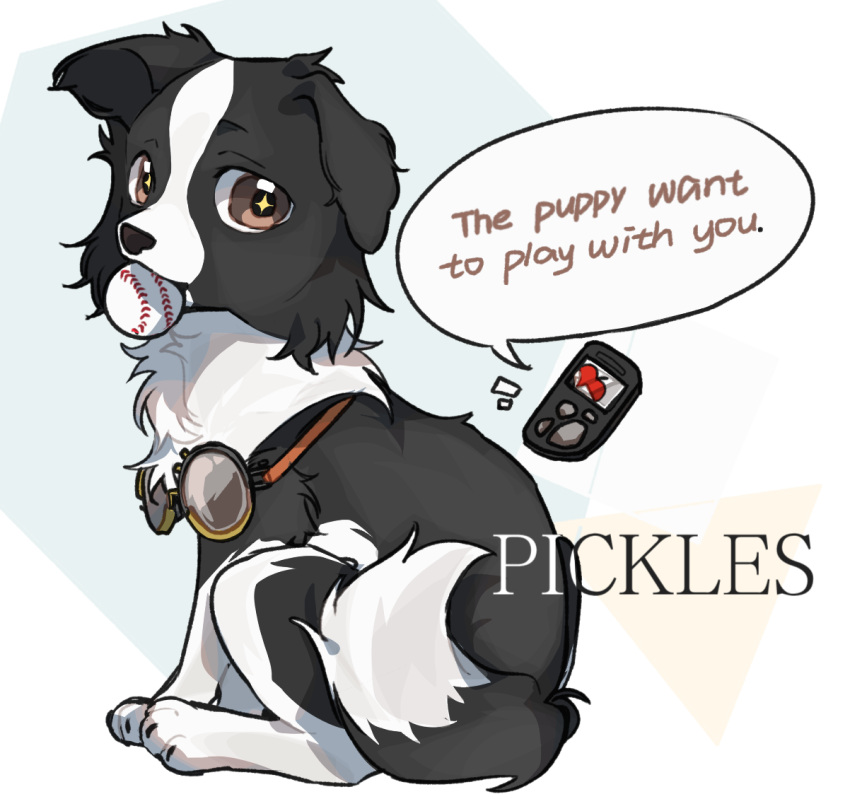 +_+, animal_focus, ball, baseball_(object), border_collie, character_name, device, dog
