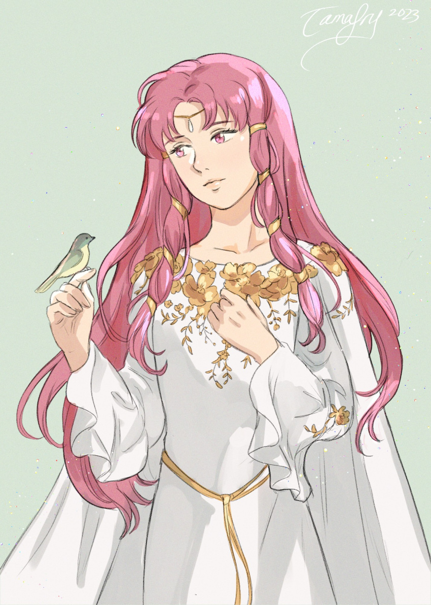 1girl, artist_name, bird, bird_on_hand, cape, circlet, clenched_hand, dress