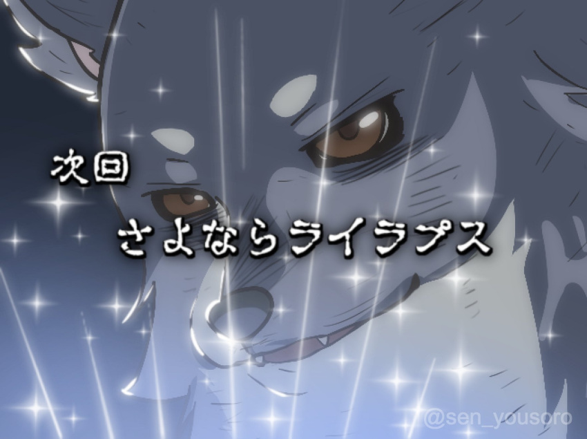 animal_focus, black_background, brown_eyes, check_commentary, commentary_request, fangs, genjitsu_no_yohane, highres