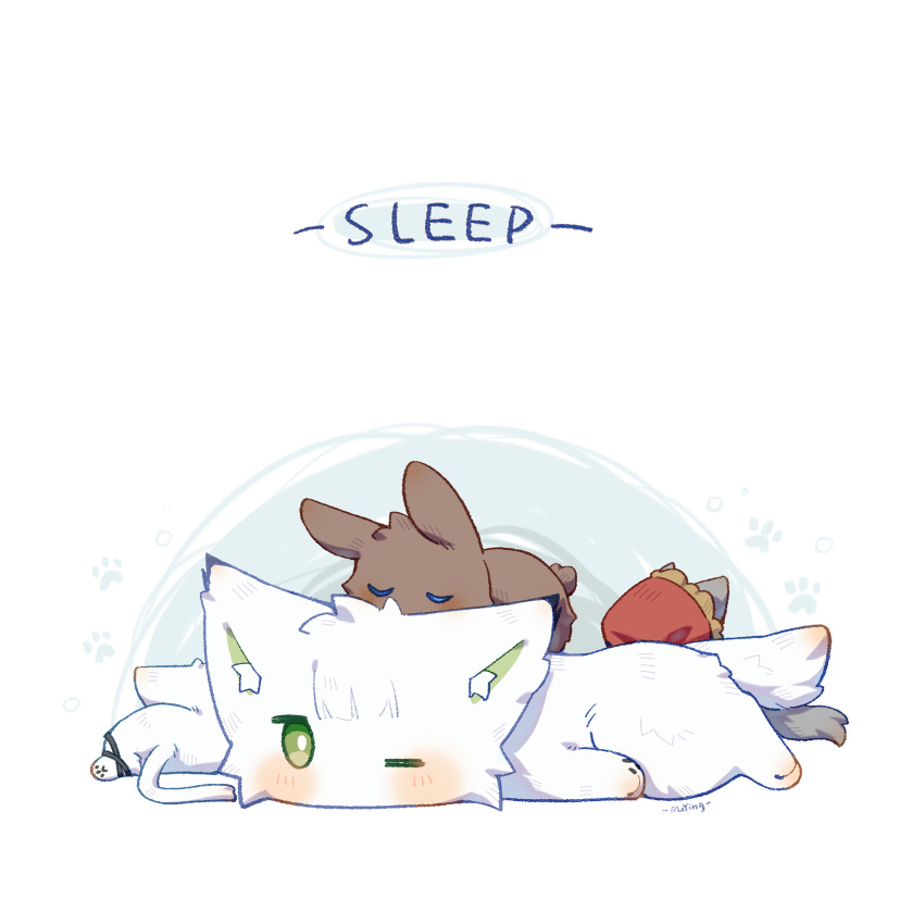 amiya_(arknights), animal_focus, animalization, arknights, cat, chinese_commentary, closed_eyes, commentary_request