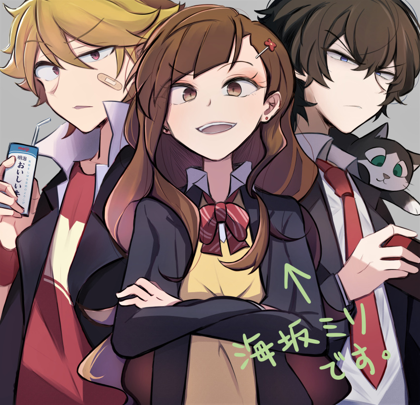 1girl, 2boys, :d, aged_up, bandaid, bandaid_on_face, black_cat, blonde_hair
