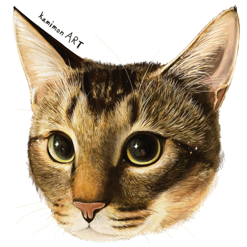 animal, animal_focus, artist_name, cat, highres, kamimon2016, no_humans, original, simple_background, tabby_cat, whiskers, white_background