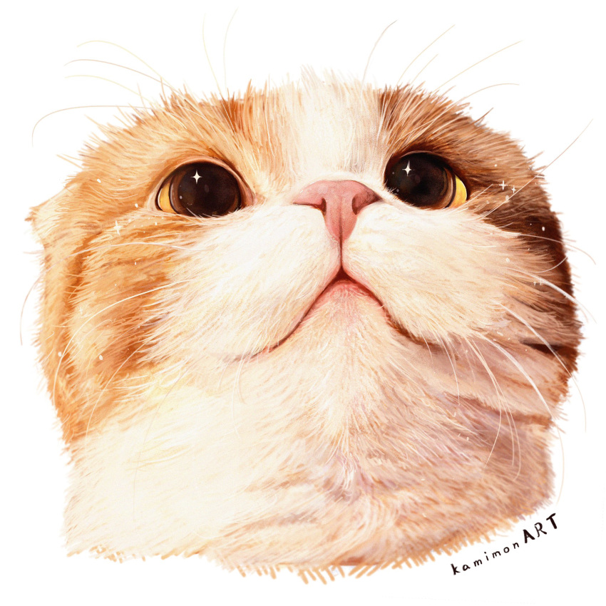 animal, animal_focus, artist_name, cat, highres, kamimon2016, no_humans, original, simple_background, whiskers, white_background