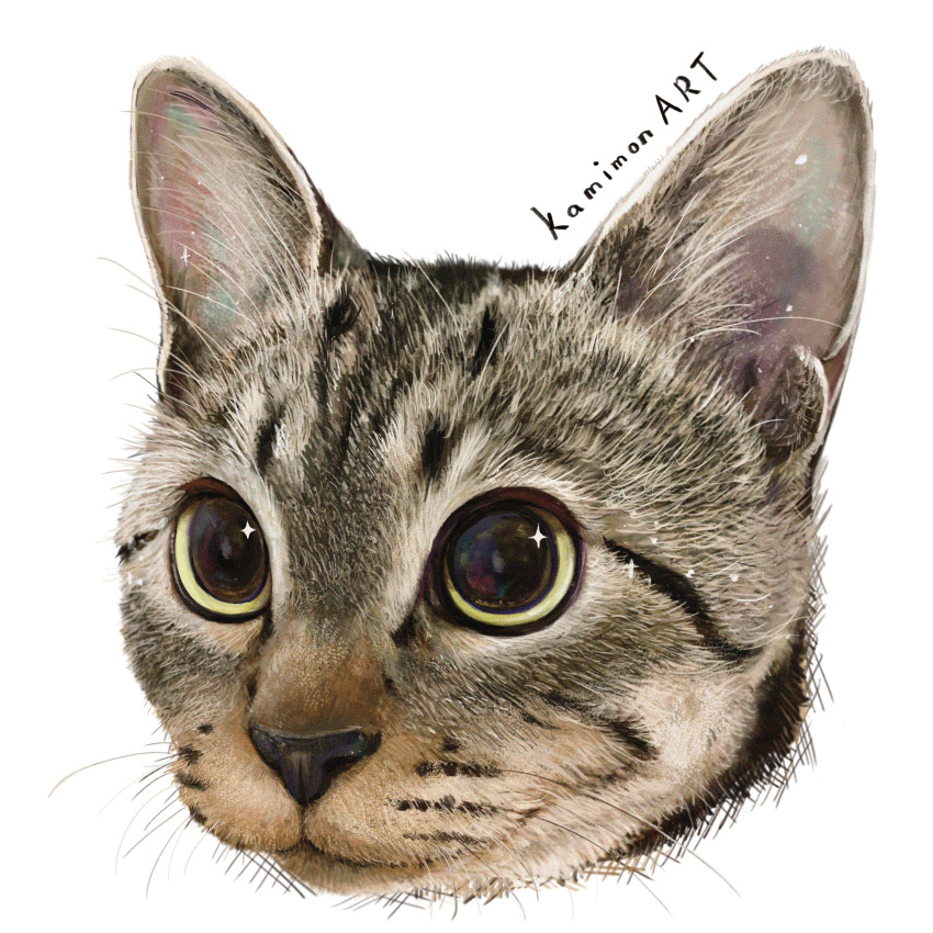 animal, animal_focus, artist_name, cat, highres, kamimon2016, no_humans, original