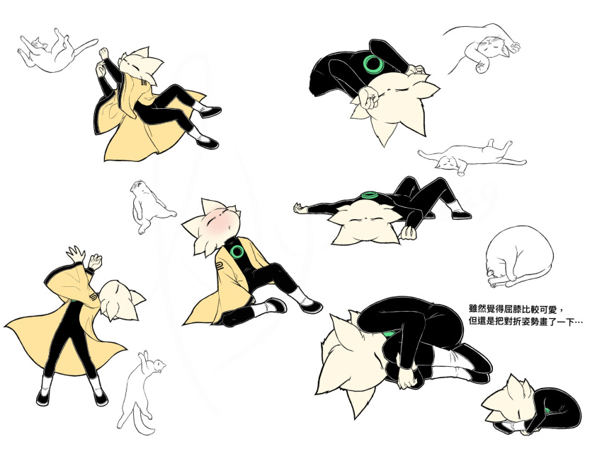 1boy, cat, cloth_shoes, furry, highres, lying, multiple_views, nine_sols, r0u1ye, reference_inset, sleeping, tail, taoist_rope, white_background, yi_(nine_sols)
