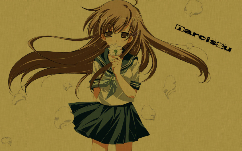 narcissu, setsumi, tagme, za09az