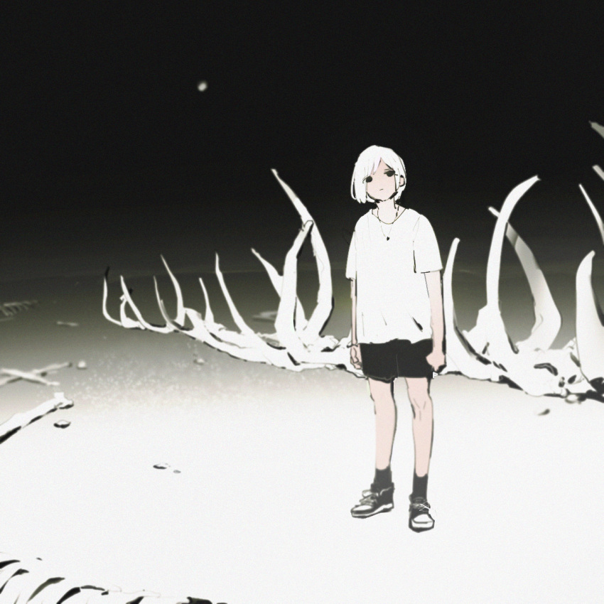 1girl, amo59320, animal_skeleton, ankle_socks, bare_arms, black_eyes, black_footwear, black_shorts, black_socks, chinese_commentary, closed_mouth, commentary_request, expressionless, full_body, highres, jewelry, knees, necklace, night, original, outdoors, shirt, shoes, short_hair, short_sleeves, shorts, sneakers, socks, solo, standing, t-shirt, white_hair, white_shirt