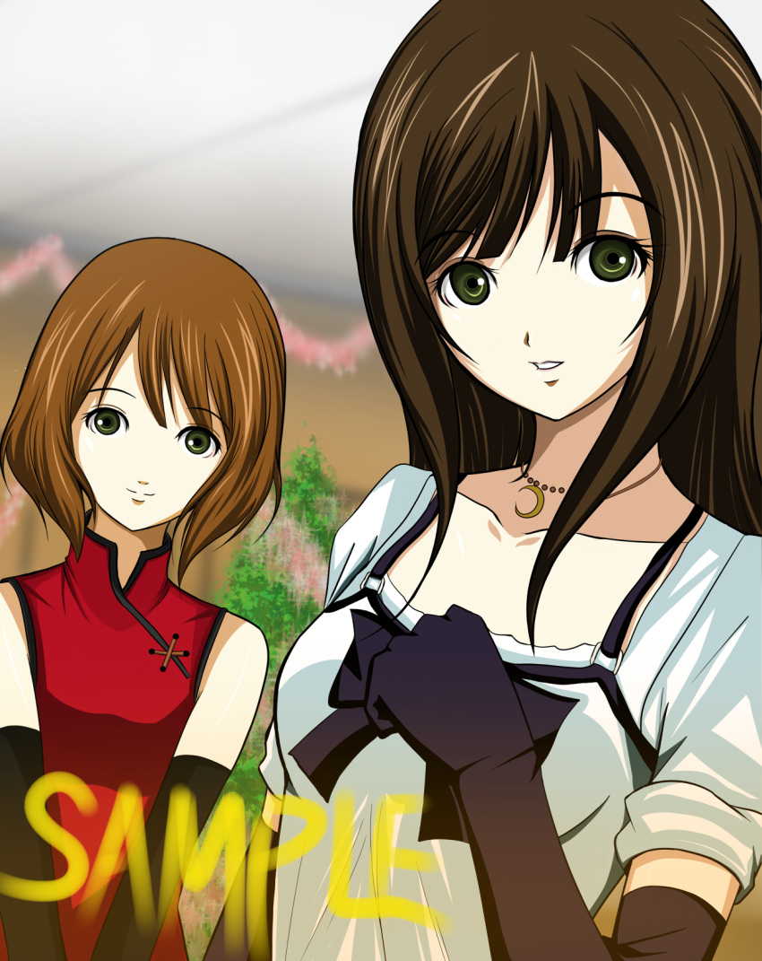 brown_hair, china_dress, chinese_clothes, dress, elbow_gloves, gloves, green_eyes, highres, inokura_kiho, inokura_yui, jewelry, long_hair, multiple_girls, murasaki_jintori, necklace, sample, siblings, sisters, tokimeki_memorial, tokimeki_memorial_4