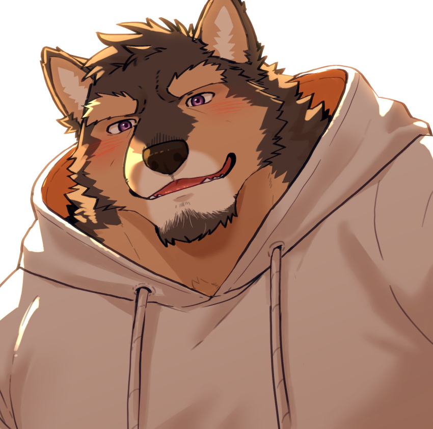 1boy, animal_ears, blush, commentary_request, dog_boy, dog_ears, facial_hair, fangs, furry, furry_male, goatee, hagom_bear, highres, hood, hood_down, hoodie, korean_commentary, live_a_hero, looking_at_viewer, male_focus, open_mouth, pubraseer_(live_a_hero), smile, upper_body, violet_eyes, white_background, white_hoodie