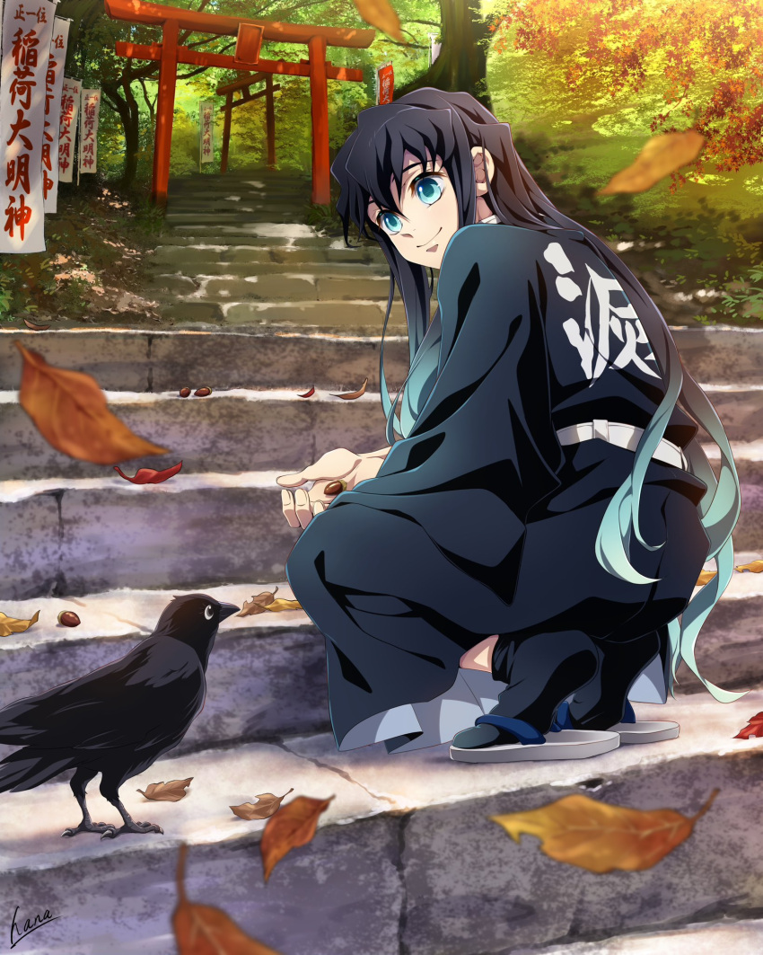 1boy, acorn, aqua_eyes, aqua_hair, autumn_leaves, bird, bishounen, black_bird, black_hair, black_hakama, black_socks, closed_mouth, crow, demon_slayer_uniform, from_behind, hakama, hana_ni_nare, highres, japanese_clothes, kimetsu_no_yaiba, leaf, long_hair, looking_at_animal, male_focus, multicolored_hair, outdoors, sandals, smile, socks, solo, squatting, stairs, stone_stairs, tokitou_muichirou, torii, tree, zouri