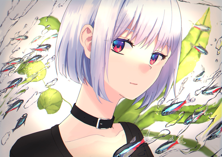 1girl, absurdres, air_bubble, belt_collar, black_choker, black_shirt, bubble, choker