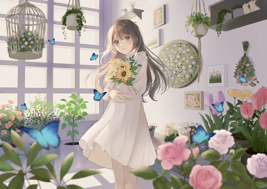 1girl, absurdres, baby's-breath, birdcage, blue_butterfly, blue_eyes, blunt_bangs, blurry