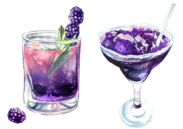 blackberry_(fruit), camila_picheco, cocktail, cocktail_glass, commentary, cup, drinking_glass, drinking_straw, english_commentary, food_focus, leaf, no_humans, original, simple_background, white_background