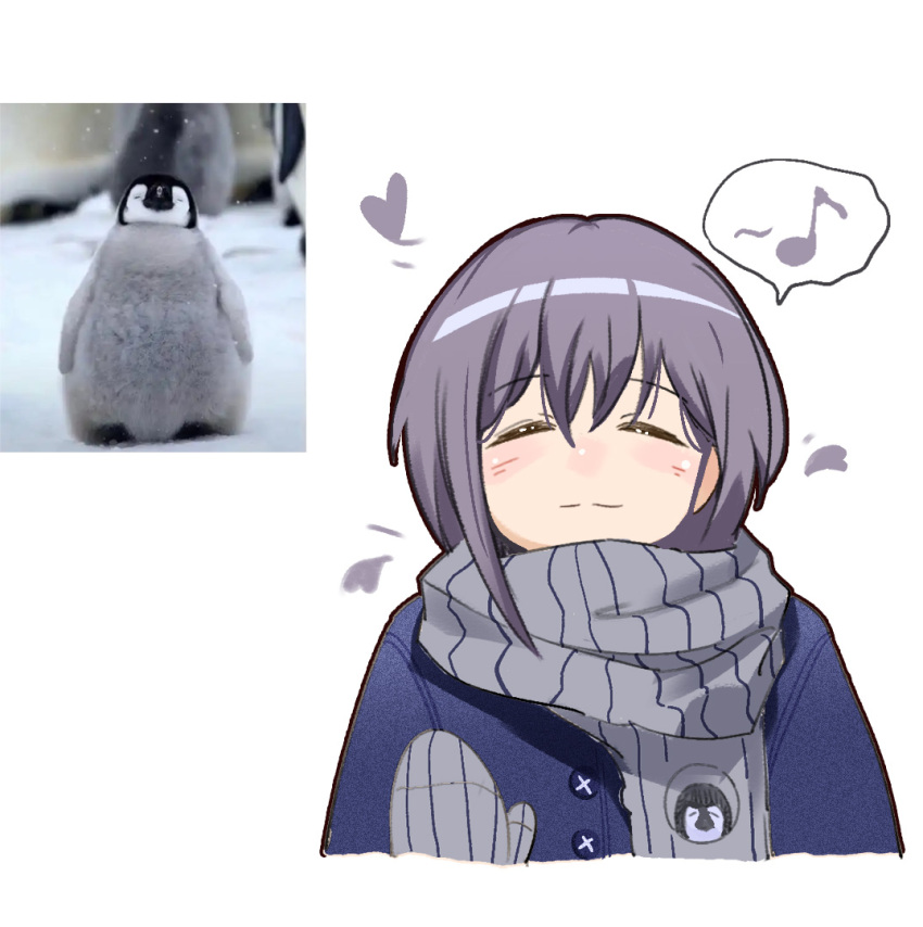 1girl, bang_dream!, bang_dream!_it's_mygo!!!!!, bird, blue_jacket, blush, chinese_commentary, closed_eyes, closed_mouth, commentary_request, grey_hair, grey_scarf, hair_between_eyes, heart, jacket, kmkk, musical_note, penguin, reference_sheet, scarf, short_hair, simple_background, solo, spoken_musical_note, takamatsu_tomori, upper_body, white_background, winter_clothes