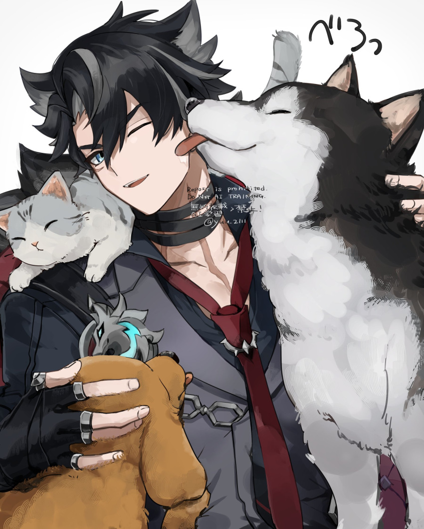 1boy, animal_on_shoulder, artist_name, bandaged_neck, bandages, black_gloves, black_hair, black_necktie, black_shirt, blue_eyes, cat, cat_on_shoulder, chain, coat, coat_on_shoulders, collared_shirt, commentary_request, dog, fingerless_gloves, fur-trimmed_coat, fur_trim, genshin_impact, gloves, grey_cat, grey_hair, grey_vest, hair_between_eyes, highres, lapels, licking, licking_another's_cheek, licking_another's_face, male_focus, multicolored_hair, necktie, one_eye_closed, open_mouth, parted_bangs, petting, scar, scar_on_cheek, scar_on_face, scar_on_neck, shirt, short_hair, simple_background, smile, solo, streaked_hair, teeth, tongue, tongue_out, twitter_username, upper_body, upper_teeth_only, vest, watermark, white_background, wolf, wriothesley_(genshin_impact), yuu_(areruya)