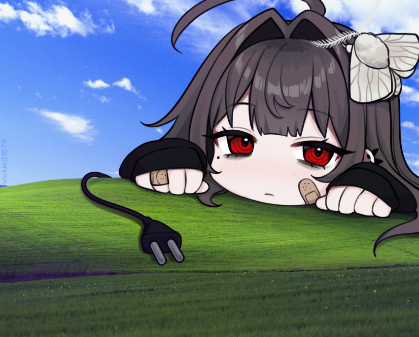 1girl, ahoge, animal_on_head, bags_under_eyes, bandaid, bandaid_on_cheek, bandaid_on_face, bandaid_on_hand