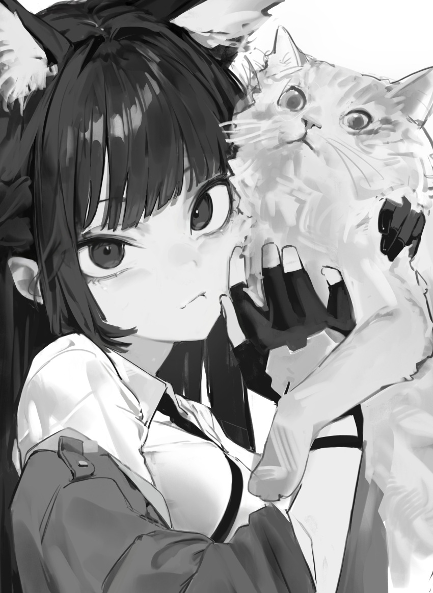 1girl, absurdres, animal, animal_ears, cat, closed_mouth, fingerless_gloves, fox_ears