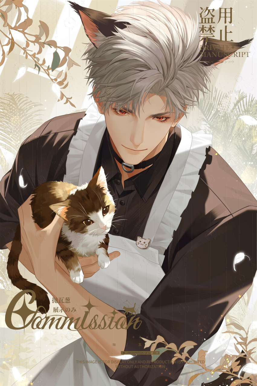 1boy, absurdres, animal, animal_ear_fluff, animal_ears, apron, black_choker, cat