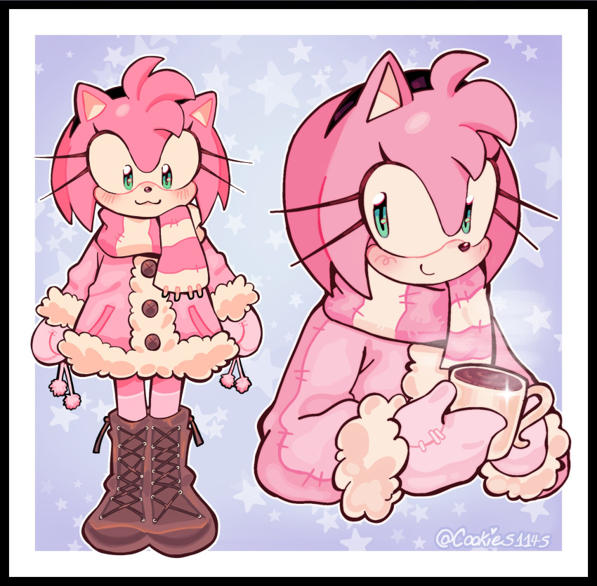 amy_rose, boots, cookies1145, cute, green_eyes, hedgehog, pink_hair, scarf, sonic_(series), winter_clothes