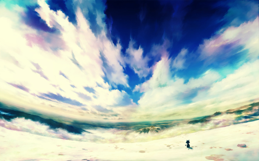 animal, cat, clouds, scenic, sky, ukihashi