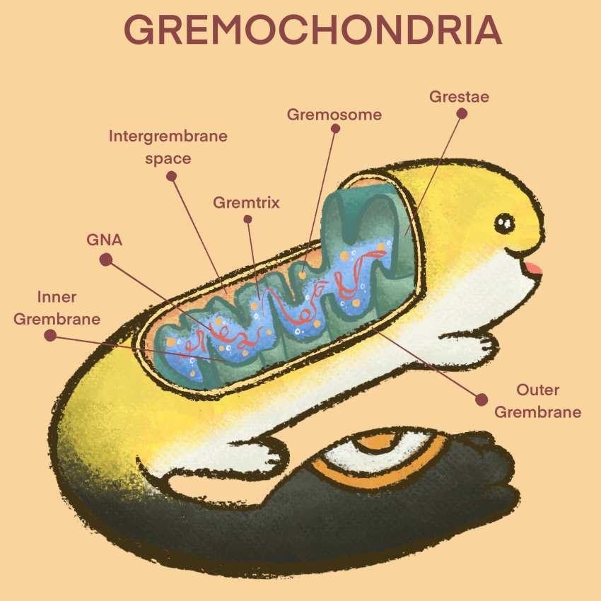 ._., :3, :d, cell_(biology), commentary, cross-section, educational, english_commentary