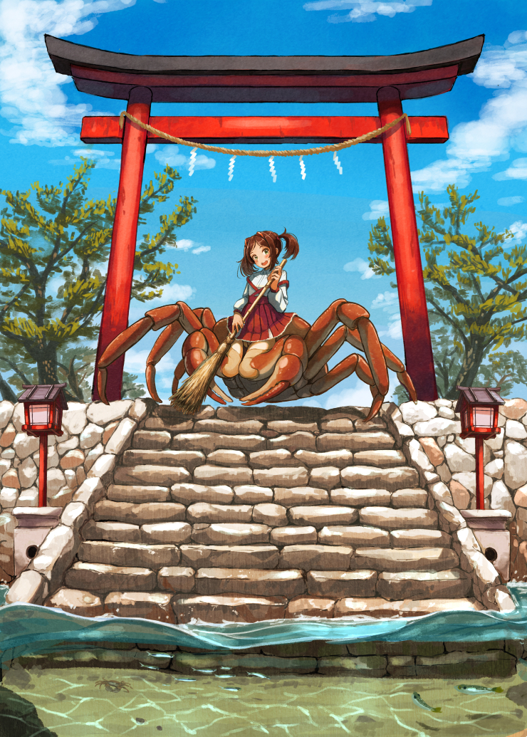 159cm, 1girl, ajin_(sakurai_gamon), arthropod_girl, arthropod_limbs, blue_sky, broom, brown_hair