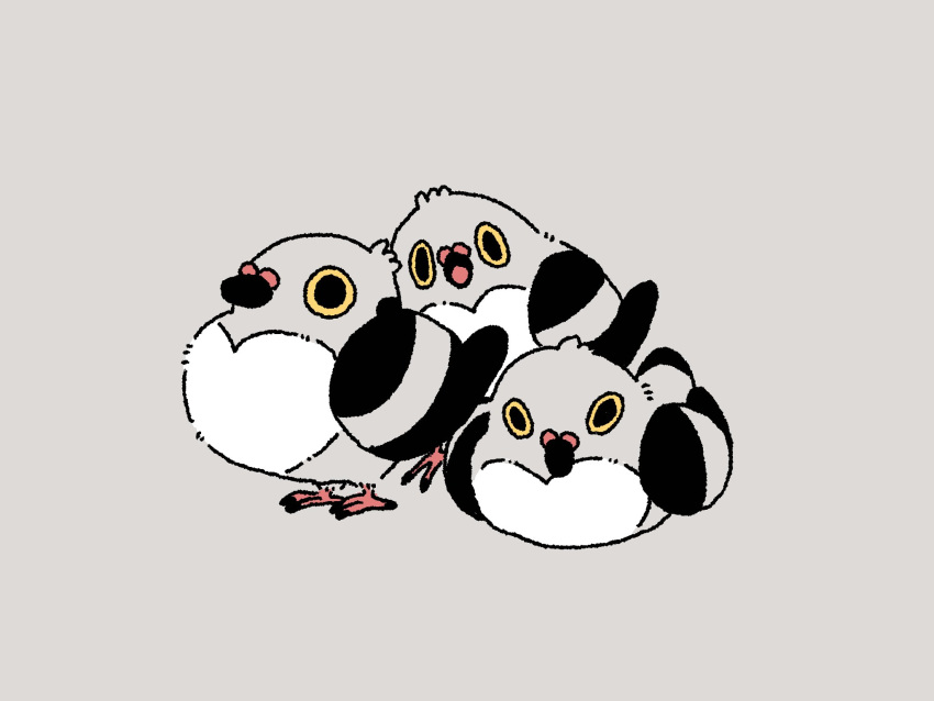 00tamakichi, bird, grey_background, highres, looking_at_viewer, no_humans, pidove, pokemon