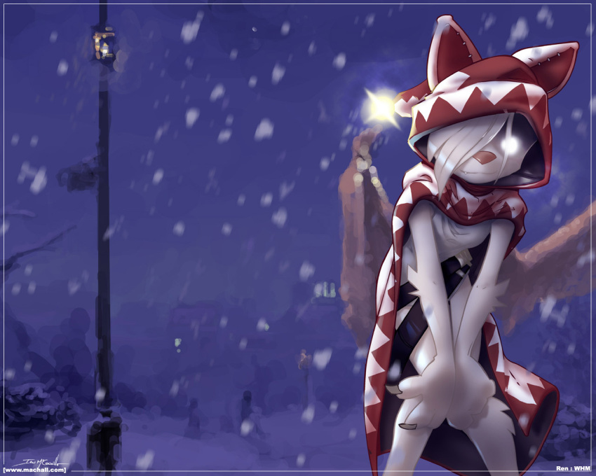 blue, ian_mcconville, mac_hall, machall, snow, winter