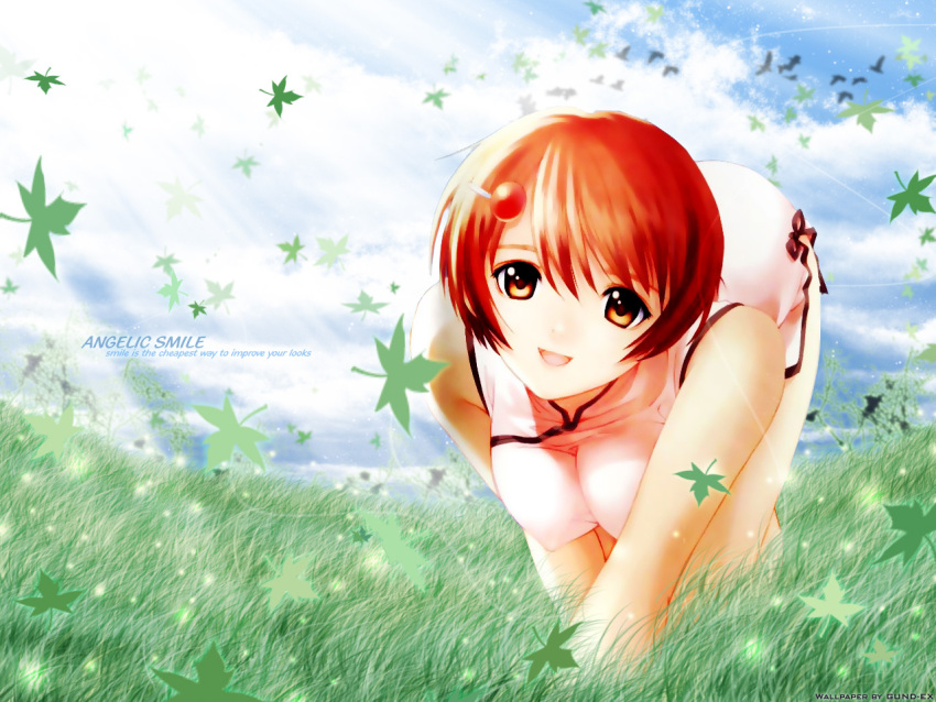 kazoku_keikaku, tagme, taka_tony, takayashiki_haruka