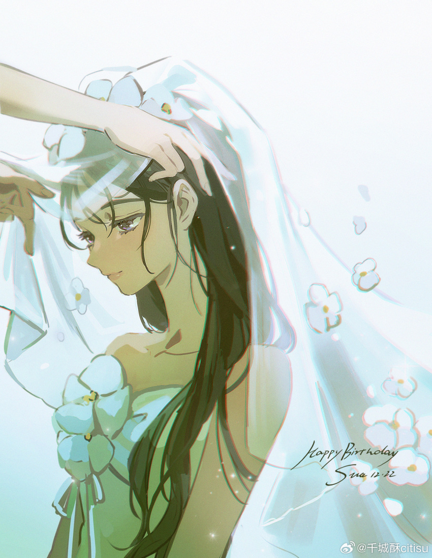 1girl, 1other, alien_stage, birthday, black_hair, bridal_veil, character_name, chinese_commentary