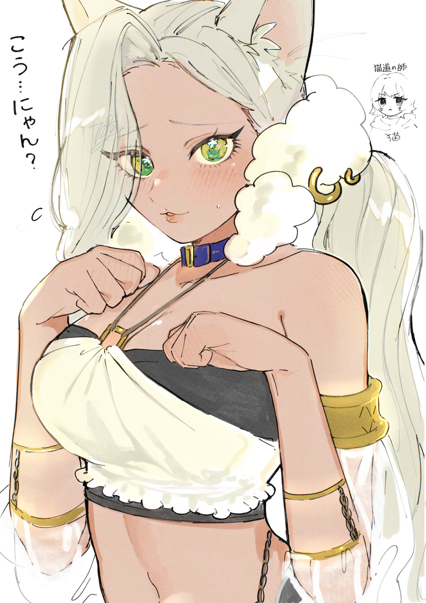 2girls, :3, absurdres, animal_ears, belt_collar, cat_ears, collar, commentary_request, detached_sleeves, green_eyes, grey_hair, halterneck, hand_blush, highres, kaho_eira, kimi_no_koto_ga_dai_dai_dai_dai_daisuki_na_100-nin_no_kanojo, light_blush, long_hair, low_ponytail, multiple_girls, navel, nekonari_tama, oyomidtarumi, paw_pose, puffy_detached_sleeves, puffy_sleeves, see-through_clothes, see-through_sleeves, sweat