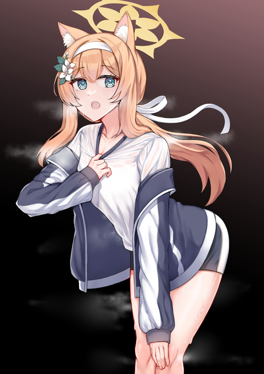 1girl, absurdres, animal_ears, blue_archive, blue_eyes, blue_jacket, cat_ears, cat_girl