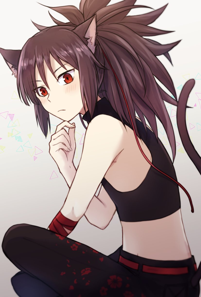 1boy, animal_ears, armpit_crease, armpit_peek, belt, black_pants, blush, brown_hair, cat_boy, cat_ears, cat_tail, closed_mouth, crop_top, fate/grand_order, fate_(series), feet_out_of_frame, floral_print_pants, from_side, frown, gradient_background, grey_background, groin, hair_between_eyes, hair_ribbon, hand_on_own_chin, highres, hunched_over, indian_style, lone_nape_hair, looking_at_viewer, low-cut_armhole, male_focus, oda_kippoushi_(fate), oda_nobunaga_(fate), pants, ponytail, red_belt, red_eyes, red_ribbon, ribbon, shirt, sidelocks, sitting, sleeveless, sleeveless_shirt, stomach, tail, teramoto_kei, triangle_print, v-shaped_eyebrows, wrist_wrap