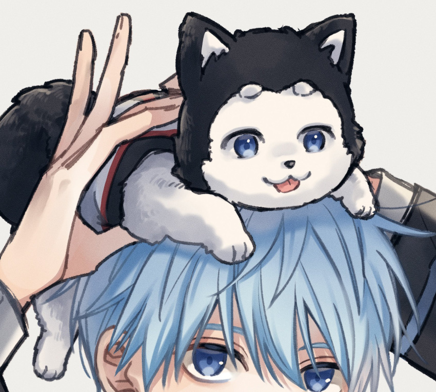 1boy, :3, animal, animal_on_head, arms_up, basketball_jersey, blue_eyes, blue_hair