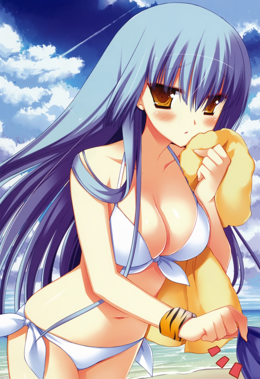 beach, bikini, blue_hair, blush, breasts, brown_eyes, cleavage, cloud