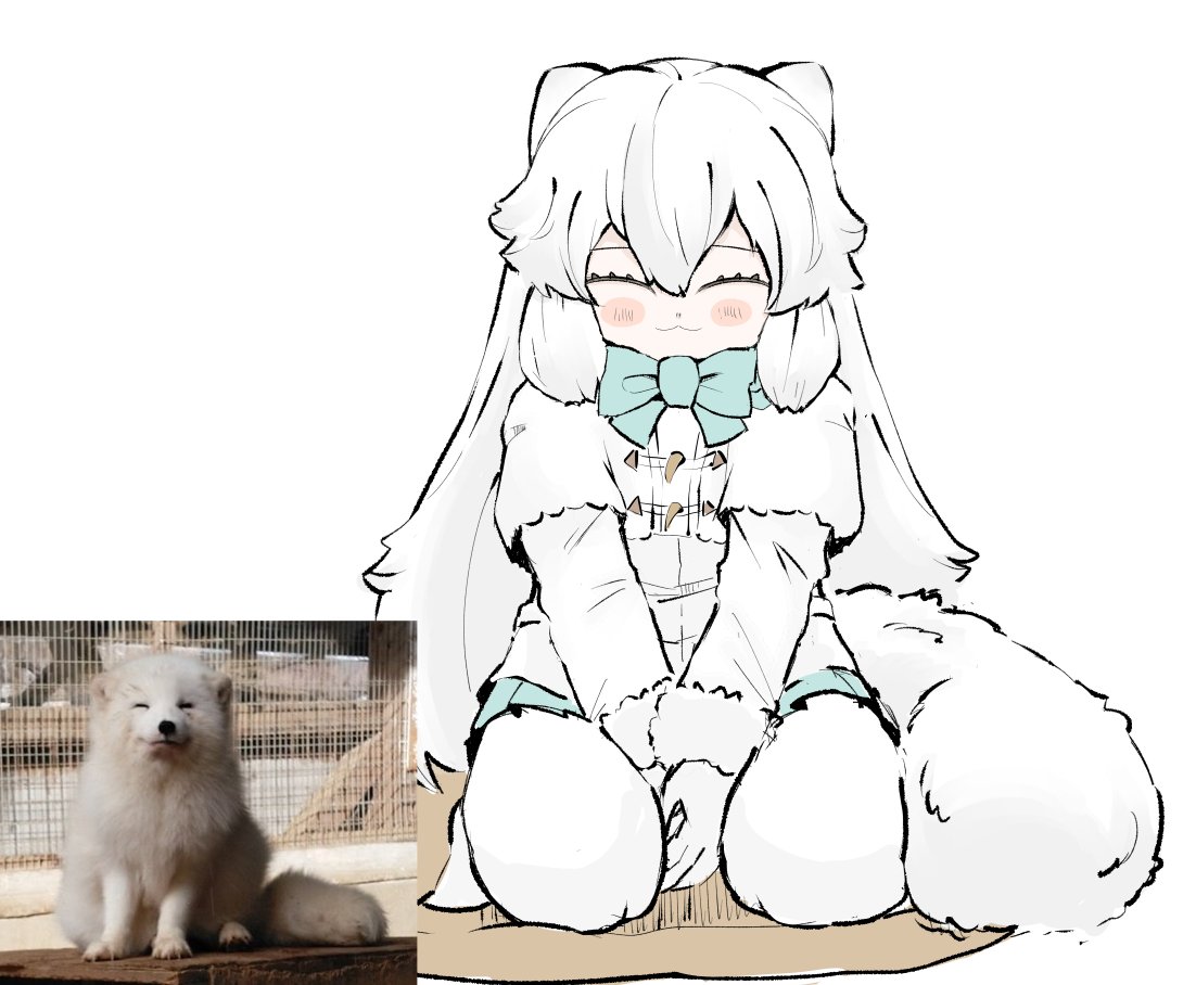 1girl, animal, animal_ears, arctic_fox, arctic_fox_(kemono_friends), blue_bow, blue_bowtie, blush