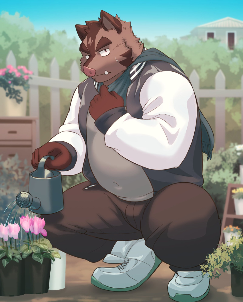 1boy, animal_ears, belly, black_jacket, blue_scarf, boar_boy, boar_ears, brown_fur, brown_pants, brown_shirt, commentary_request, covered_navel, fat, flower, furry, furry_male, garden, hermann_furst_von_eden_(knights_college), highres, holding, holding_watering_can, jacket, knights_college, looking_at_viewer, male_focus, oumaga_wald_(artist), pants, pig_nose, plump, scarf, shirt, squatting, sweatdrop, tusks, watering, watering_can, white_footwear