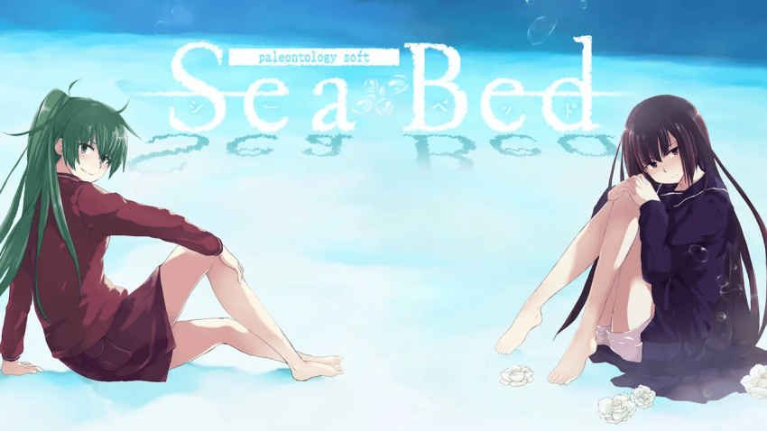 2girls, black_hair, green_hair, hide38, mizuno_sachiko_(seabed), official_art, ponytail, seabed