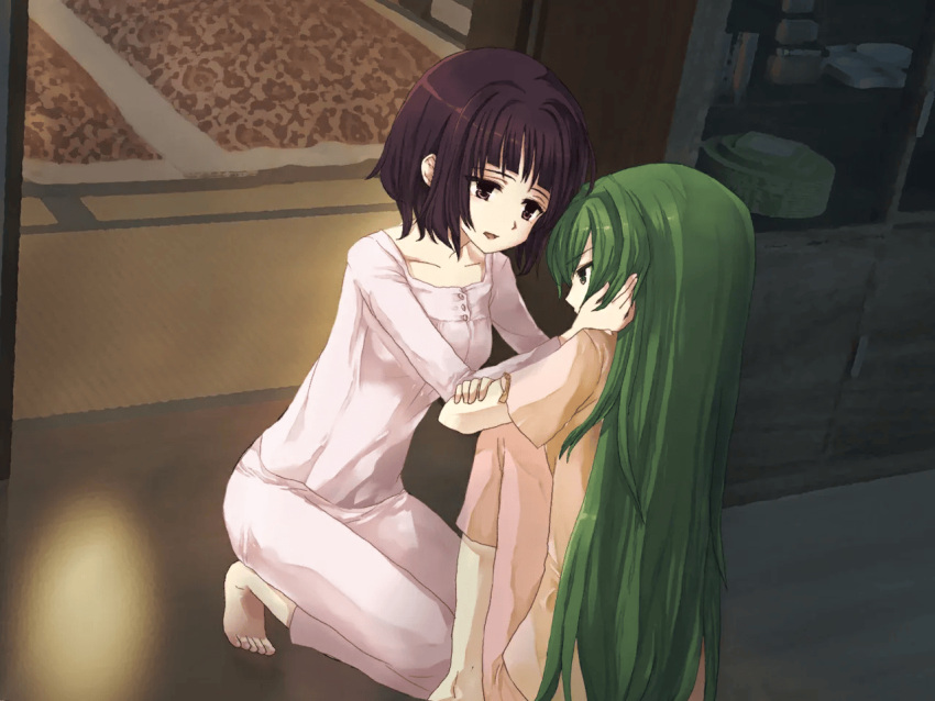 2girls, brown_eyes, brown_hair, comforting, cupboard, game_cg, green_eyes, green_hair