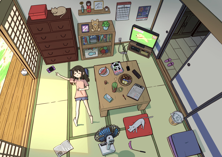 1girl, absurdres, animal, barefoot, barley_tea, black_hair, blue_shorts, blush_stickers, book, calendar_(object), cat, cat_teaser, cellphone, charging_device, cheribon, chest_of_drawers, closed_eyes, controller, cup, cushion, drinking_glass, electric_fan, floor, food, from_above, fruit, hand_on_own_stomach, handheld_game_console, highres, incense_burner, indoors, lying, on_back, on_floor, original, parted_lips, pen, phone, pillow, pink_shorts, pitcher_(container), plant, plate, potted_plant, remote_control, shelf, short_sleeves, shorts, sleeping, slice_of_life, sliding_doors, smartphone, solo, stuffed_animal, stuffed_toy, summer, table, tatami, tea, teddy_bear, television, trash_can, watermelon, wide_shot, yarn, yarn_ball