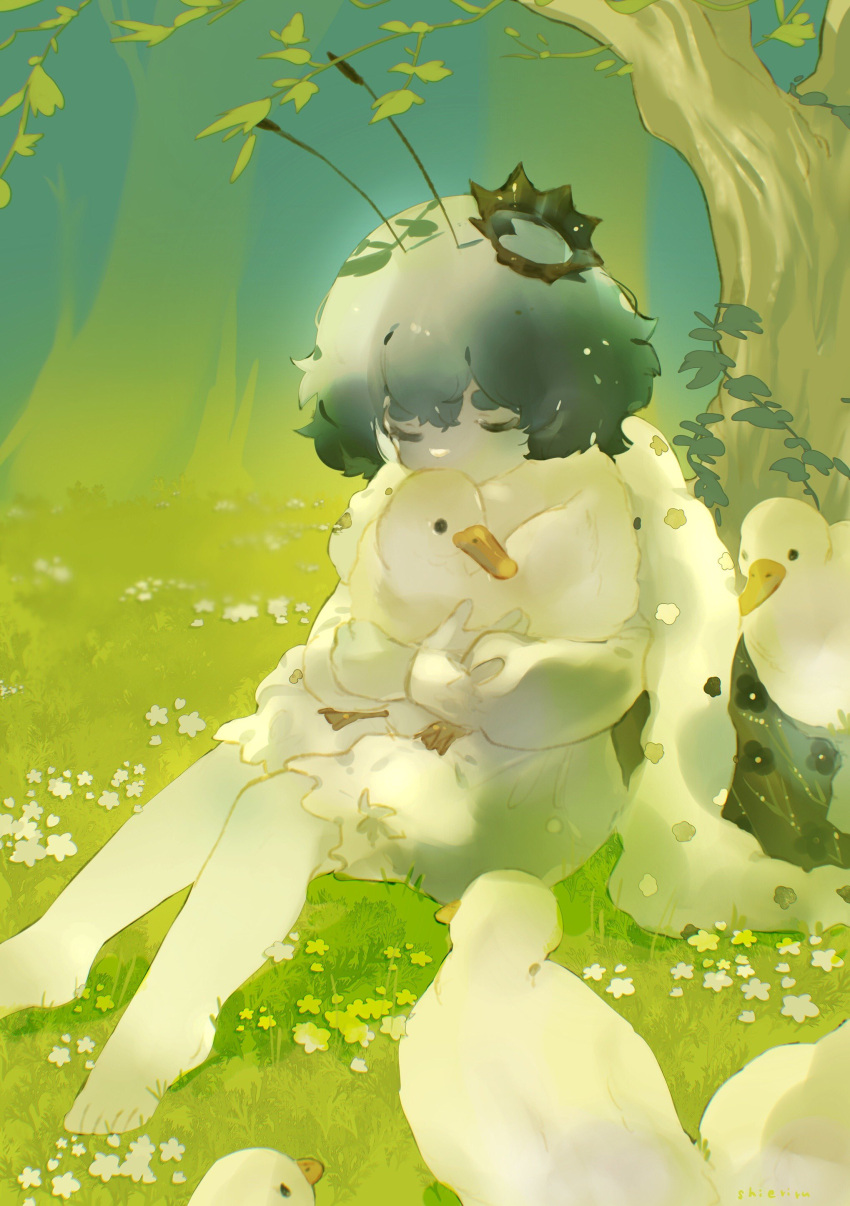 1girl, absurdres, animal, antennae, barefoot, bird, black_cloak, blue_hair, cloak, closed_eyes, closed_mouth, crown, duck, field, flower, full_body, fur_trim, highres, holding, holding_animal, hug, mini_crown, original, outdoors, shieriru, shirt, short_hair, shorts, sleeping, solo, white_flower, white_shirt, white_shorts