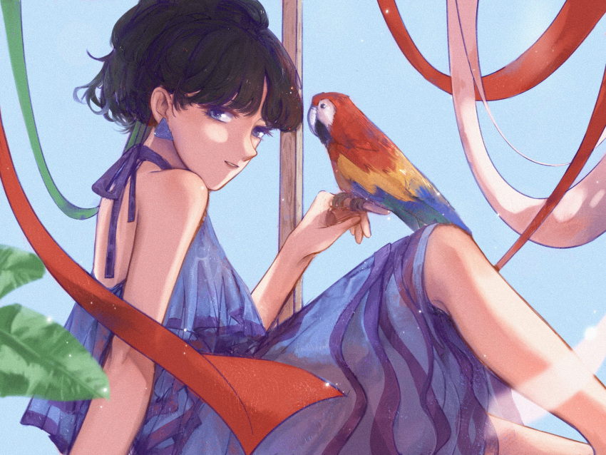 1girl, bird, blue_dress, blunt_bangs, brown_hair, commentary_request, dress, earrings