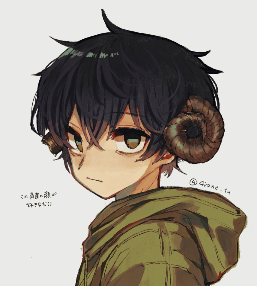 1boy, 4rane_tu, black_hair, brown_horns, closed_mouth, crossed_bangs, curled_horns, green_hoodie