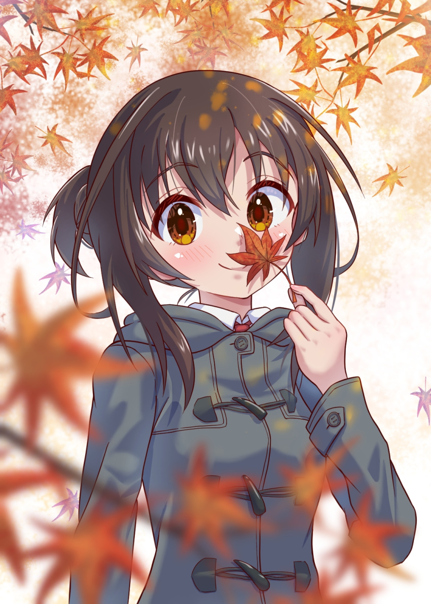1girl, autumn_leaves, blurry, blurry_foreground, blush, brown_eyes, brown_hair, chotto_ippai!
