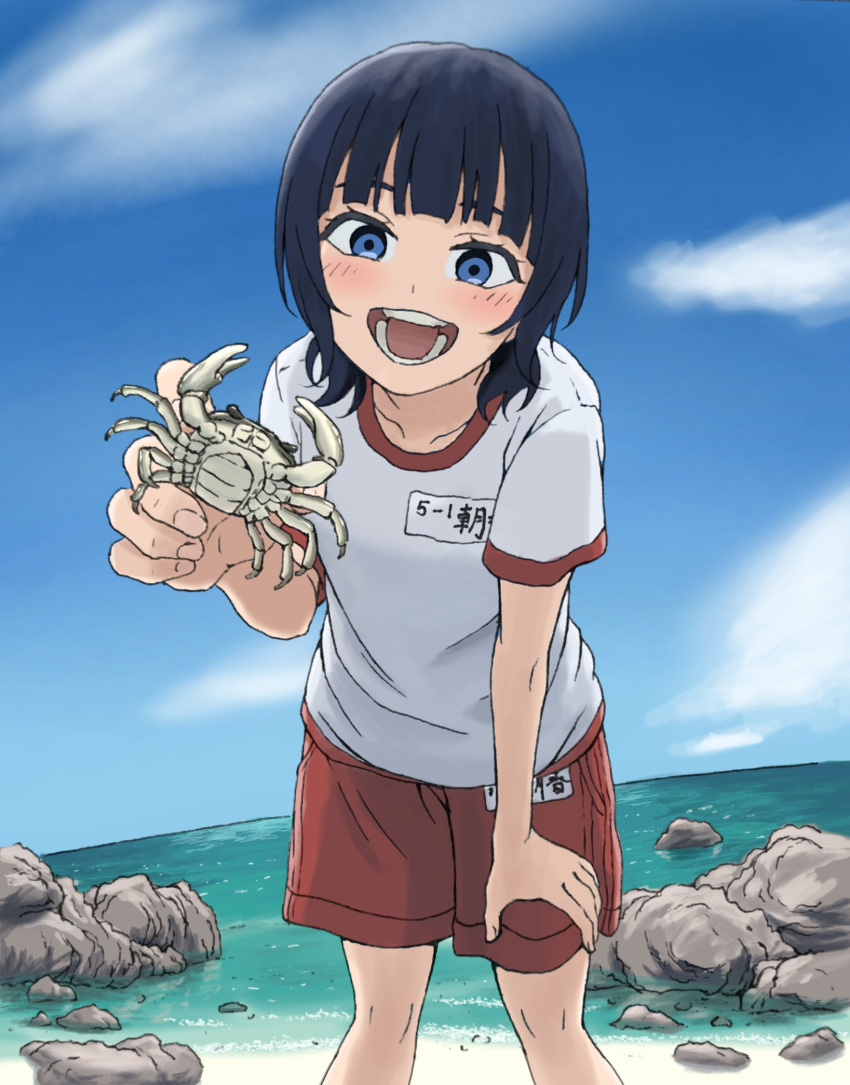 1girl, :d, aged_down, animal, beach, blue_eyes, blue_hair, blue_sky