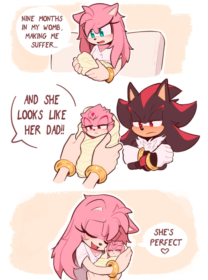 1boy, 2girls, absurdres, aged_down, amy_rose, and_he_looks_like_his_stupid_dad_(meme), aqua_eyes, black_fur