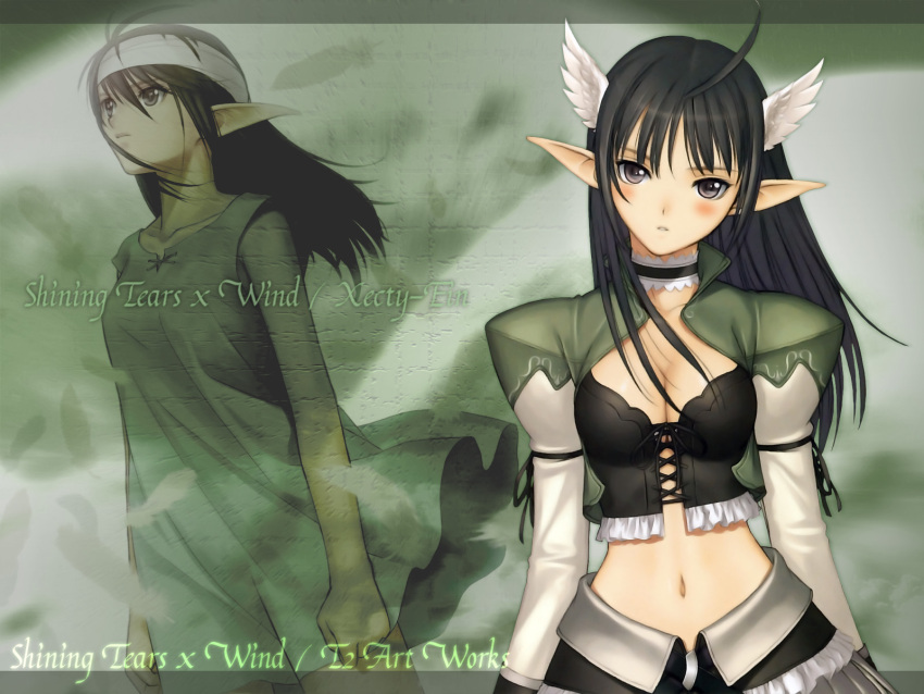 shining_tears, shining_wind, tagme, taka_tony, xecty