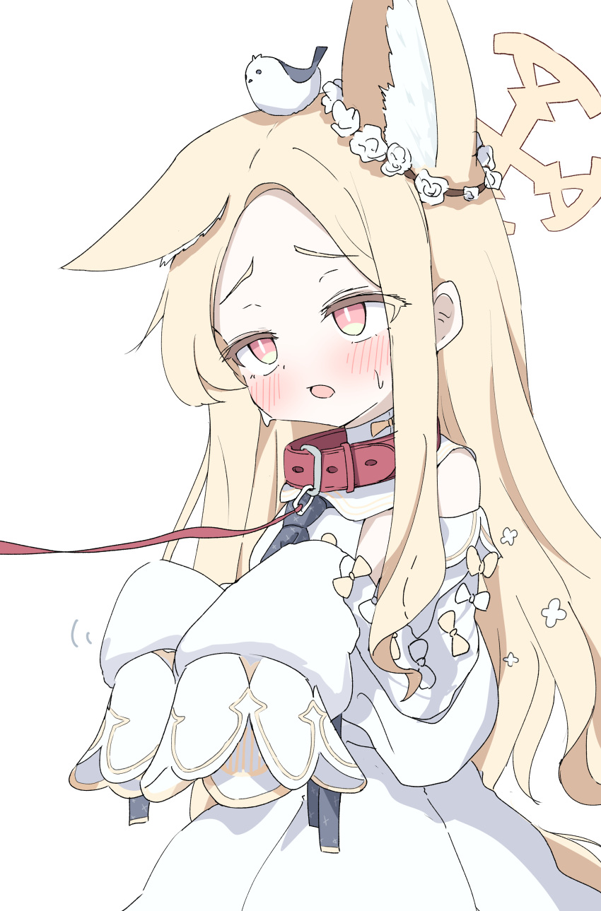 1girl, absurdres, animal_collar, animal_ear_fluff, animal_ears, animal_on_head, bird, bird_on_head