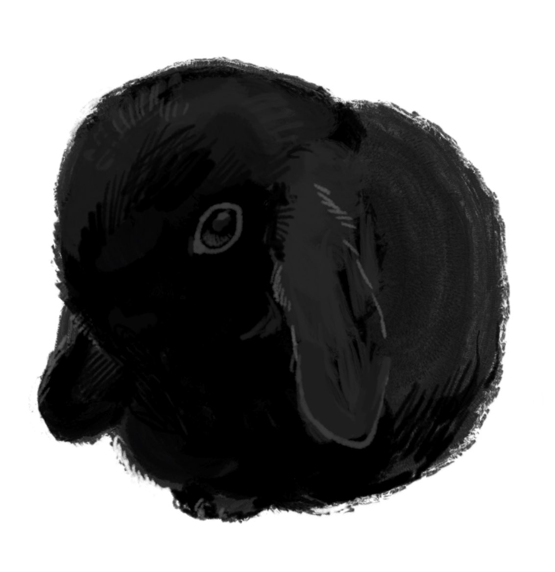 animal, bifuteki_(bi_futeki), black_rabbit_(animal), commentary_request, full_body, no_humans, original, rabbit