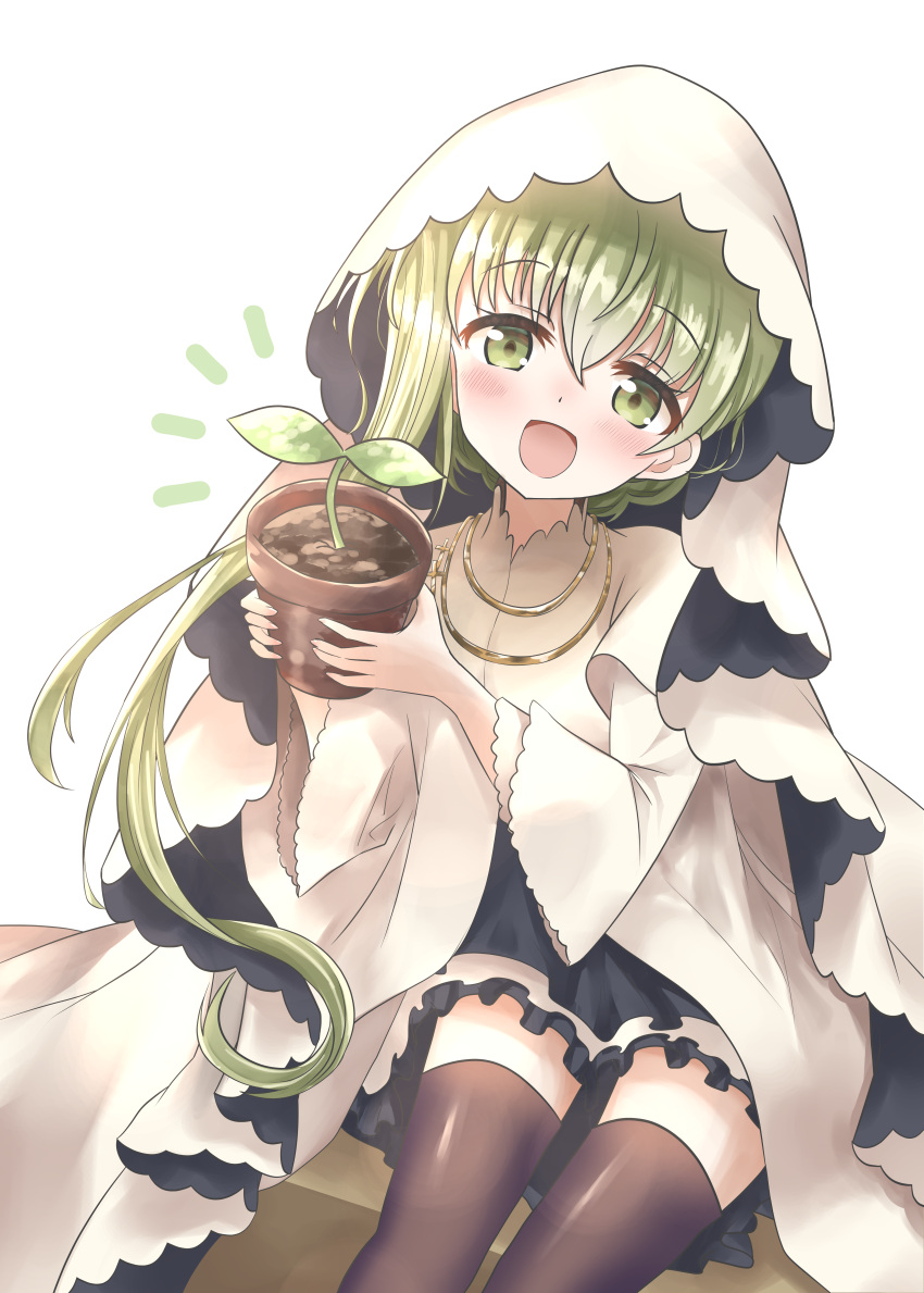 1girl, absurdres, black_thighhighs, bloom, blush, blush_stickers, cecilia_(shiro_seijo_to_kuro_bokushi), dress